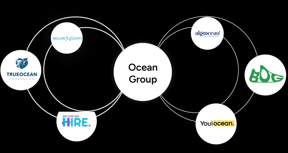 Ocean Group Ecosystem Diagram